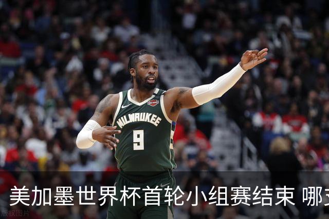 美加墨世界杯首轮小组赛结束 哪支球队最令人失望？